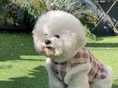 -北化机爱工场文化科技融合产业园