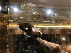 -more than meow吴止猫主题餐厅(承德 中船汇店)