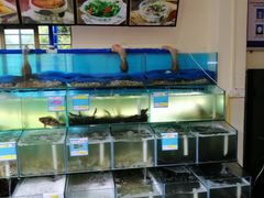 水产区-琼大师东方烤乳猪(亚特兰蒂斯店)