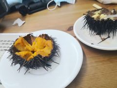 -海胆小馆(东北水饺·春柳店)