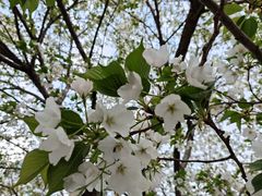 -西北湖绿化广场