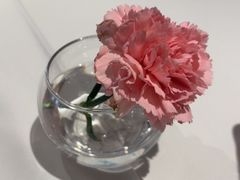 -眉州东坡(石景山店)