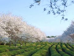 -凤凰沟景区