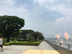 -大湾区中央湿地公园