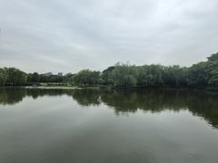 -杭州城北体育公园