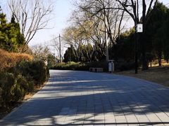 -北坞公园
