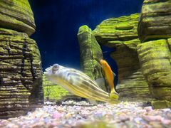 -常州海昌海洋探索馆