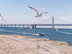 -星海湾跨海大桥
