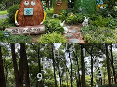-云溪植物园