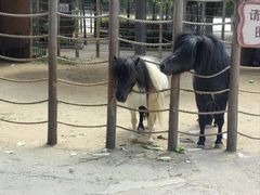 -保定市动物园