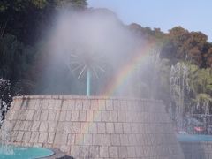 -厦门悦华酒店·绿庭主题自助餐厅