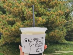 叽叽茉莉鲜奶茶-卖呆儿咖啡(望京店)