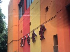 -湖南广播电视台娱乐频道