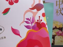 -大宁郁金香公园-停车场