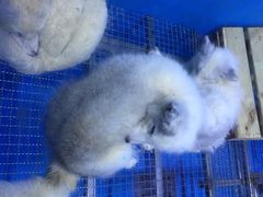 -多彩贵州城极地海洋世界