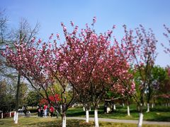 -白塘生态植物园