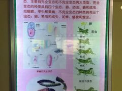 -上海昆虫博物馆