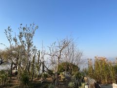 -西昌邛海湿地