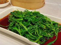 白灼有机菜心苗-好友缘酒家(西大店)