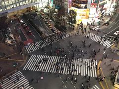 -涩谷区