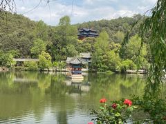 -黑龙潭公园