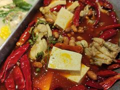 -麻田会 ·鲜活现烹·牛蛙火锅(珠江新城维家思广场店)