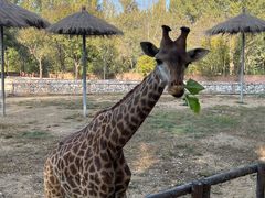 -北京野生动物园