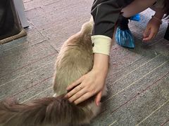 -零纪元VR体验馆·桌游(黄浦店)