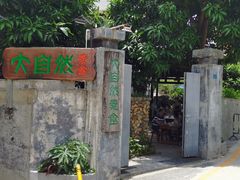-大自然素食(望桐路店)