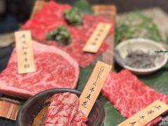 -老乾杯(深圳湾万象城店)