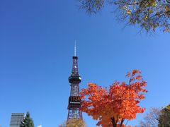 -札幌电视塔