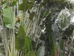 -厦门日月谷温泉渡假村