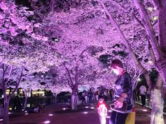 -西北湖绿化广场