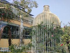 -立新湖公园