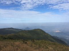 -罗浮山·罗园农庄