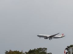 -空港花田景区