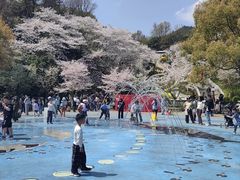 -杭州少年儿童公园