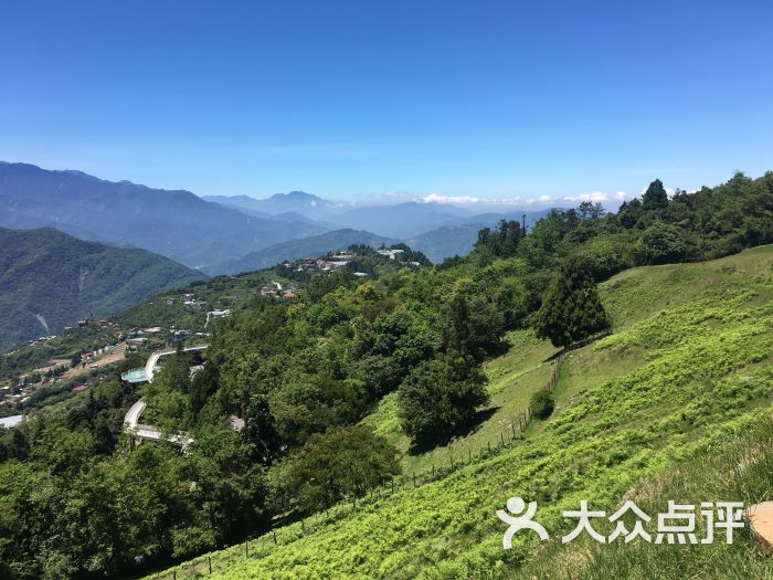 清境农场之青青草原-图片-南投景点玩乐-大众点评网