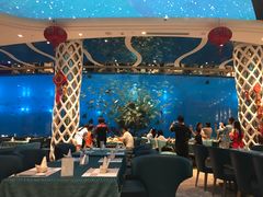 -瑞德姆美人鱼海底演艺主题餐厅(亚龙湾店)