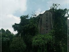-云南野生动物园