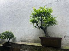 -绍兴鲁迅故里·沈园景区