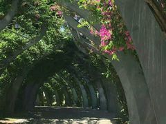 -布里斯班南岸公园