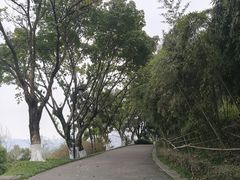 -大渡口区义渡公园