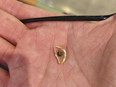 -棱石眼镜(CP静安店)