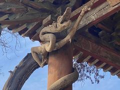 -晋祠公园