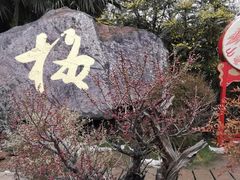 -无锡梅园公园