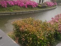 -蠡湖大桥公园