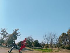 -蜀冈西峰生态公园