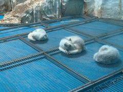 -泉城欧乐堡海洋极地世界