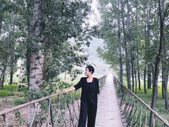 -白河湾生态旅游一条川